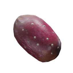 仙人果（仙人掌果）
